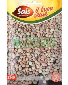 Nevola_seed_lentil