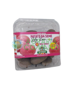 Paquete de patatas de siembra Lilly Rose