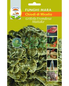uñas de maitake