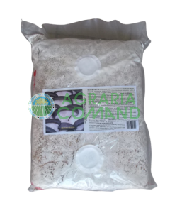 Semillas de micelio de Pleurotus