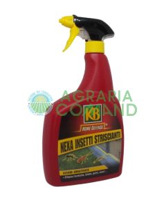 Nexa insectos rastreros