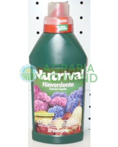 NUTRIVAL RINVERDENT LT. 0,5