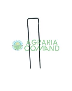 clavija pintada