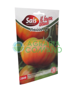 Tomate híbrido Veronica Sais