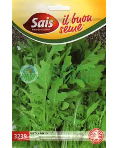 ROKITA RUCOLA