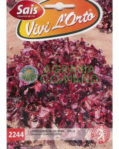 Ensaladera roja lechuga