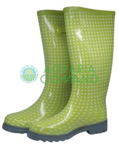 Botas de mujer