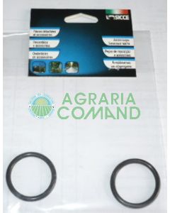 O ring Verde Reset
