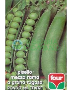 Guisantes Cuatro medios rábanos