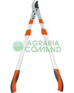 Leñadores_corte_bypass_2094