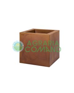 Corten