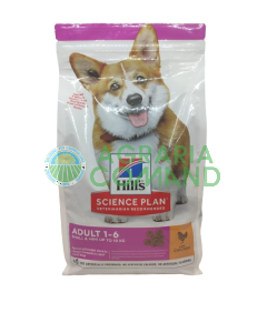 hill's_food_para_perros_adultos_de_pequeño_tamaño
