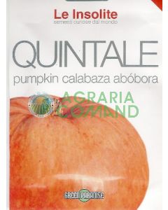 CALABAZA AMARILLA