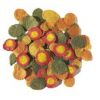TetraPro_Energy_food_en crujiente thumbnail