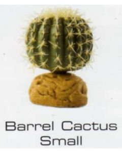 CACTUS BARRIL PEQUEÑO - PLANTAS DEL DESIERTO