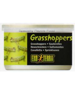 SALTAMONTES 34 G / 1,2 ONZAS - SALTAMONTES