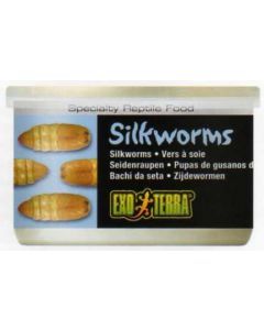 GUSANOS DE SEDA (PUPEA) 34 G / 1.2 OUNCE - GUSANOS DE SEDA
