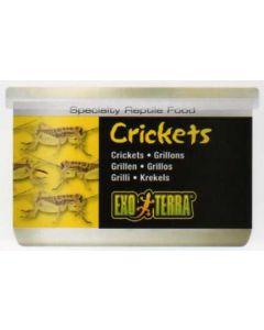 GRILLOS 34 G / 1.2 ONZA - GRILLOS