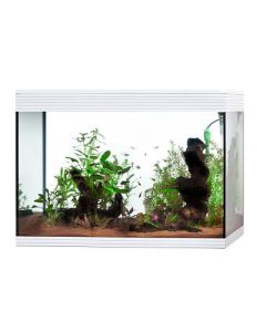 Acuario pure led cube 130 lt