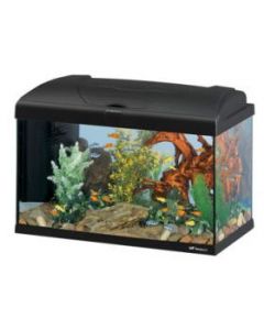 ACUARIO CAPRI 60