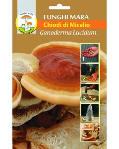 ganoderma lucidum uñas