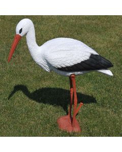 Cigüeña ornamental