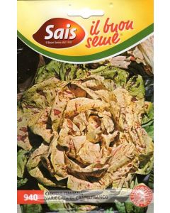 Achicoria de Castelfranco variegada