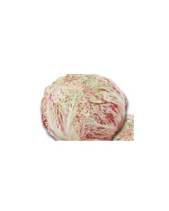 SEMILLA DE ACHICORIA ABIGARRADA CASTELFRANCO DI LUSIA GR. 50 PRECOCE formato calibrado