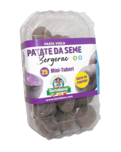 patata de siembra bergerac