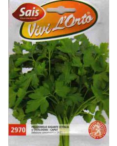 GIGANT PARSLEY DE ITALIA o CATALOGO - CAPUT