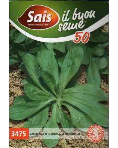 VALERIANA HOLANDESA GR.50