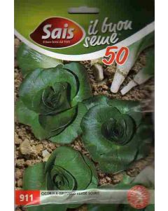 Semilla de achicoria Grumolo verde oscuro