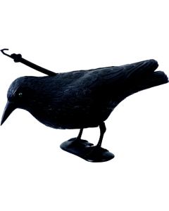 Espantapájaros_raven