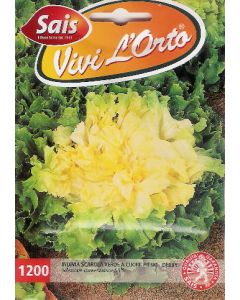 ESCAROLA VERDE - DERBY