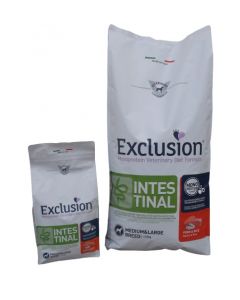 Exclusión intestinal perro mediano grande