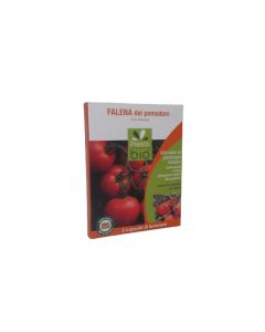 Feromona contra la polilla del tomate