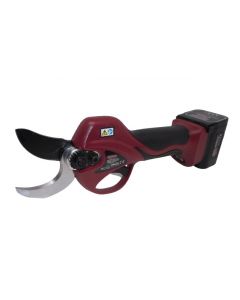 Tijeras Archman Fe08-32