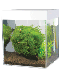 ASKOLL BLANCO PURO S ACUARIO LT.13
