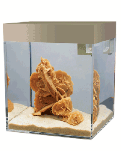 ASKOLL ARENA NATURAL S AQUARIUM LT.13