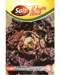Lechuga rubra 4 estaciones