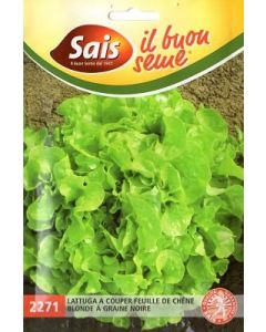 Lechuga_couper_feuille