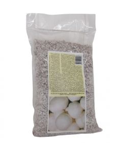 Micelio blanco fresco de Champignon