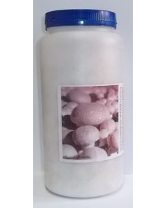 Mycelium_crema_fresca