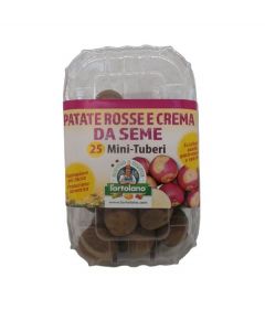 Minitubérculos de patata de siembra
