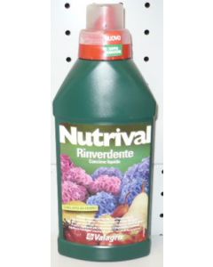 NUTRIVAL RINVERDENT LT. 0,5