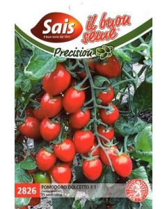 Tomate_daterino_dolcetto