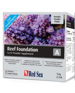 FUNDACIÓN ARRECIFE DEL MAR ROJO A KG.1