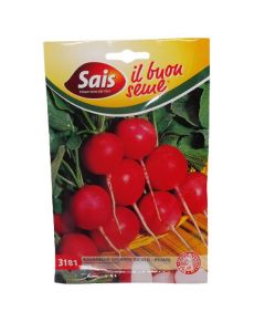 Rábano gigante siciliano - verano