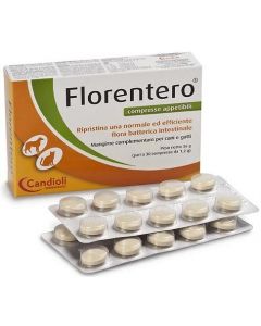 PASTILLAS FLORENTERO UD.30