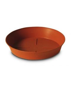 platillo_export_plastecnic